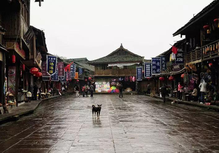 逃出昏暗的地下室